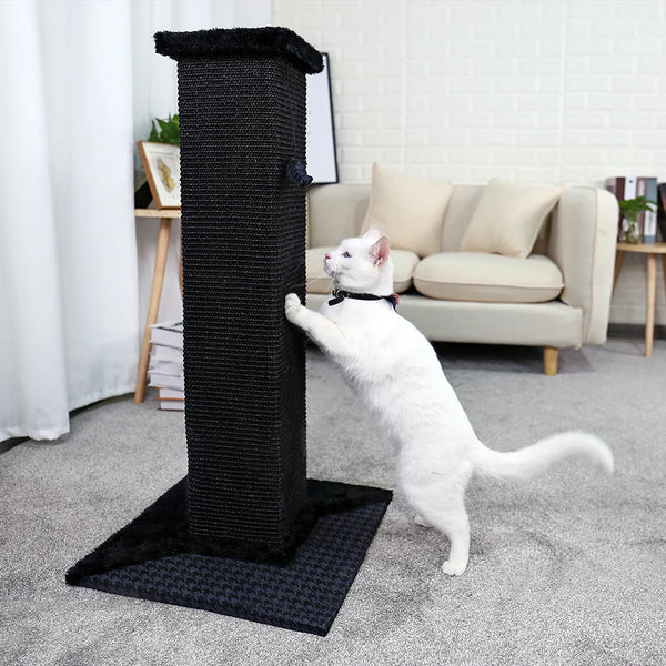H82cm Pet Cat Tree Scratching Post for Indoor Plush Top Perch Stable Durable with Ball Black Natural Sisal Protecting Furniture Retail Second