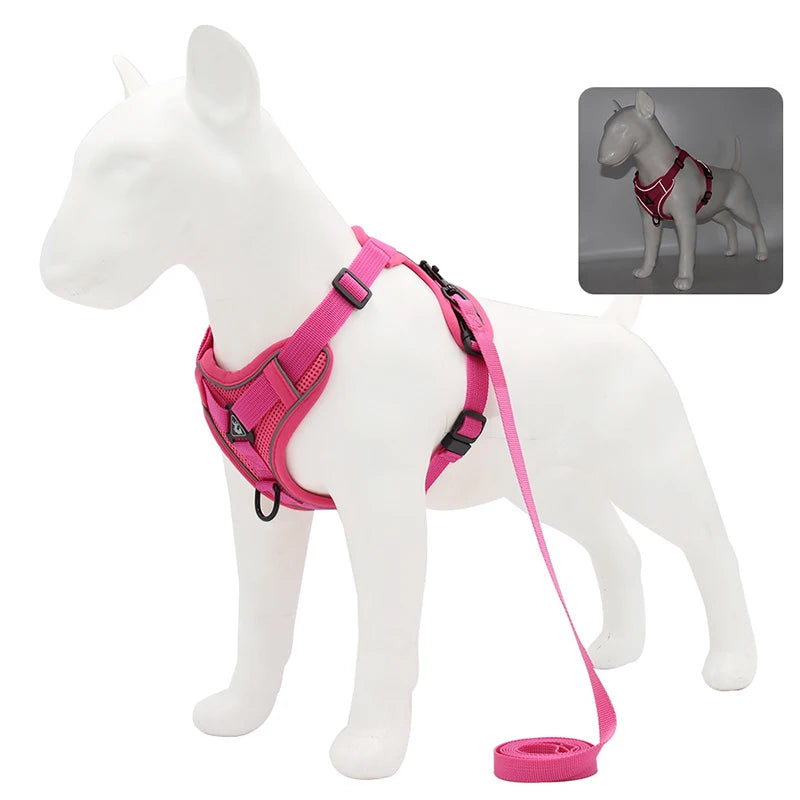 Reflective & Adjustable Wild One Dog Harness Set for All Sizes