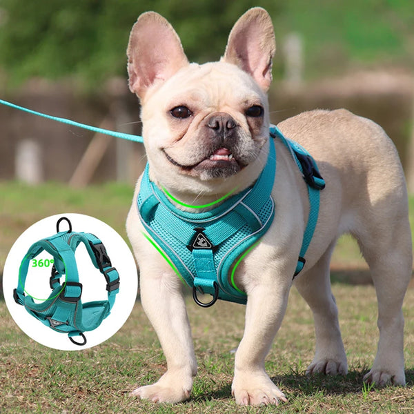 Dog Harness Leash Set Adjustable Pet Harness Vest For Small Large Dog Cat Reflective Mesh Puppy Cat Chest Strap Dog Accessories Retail Second