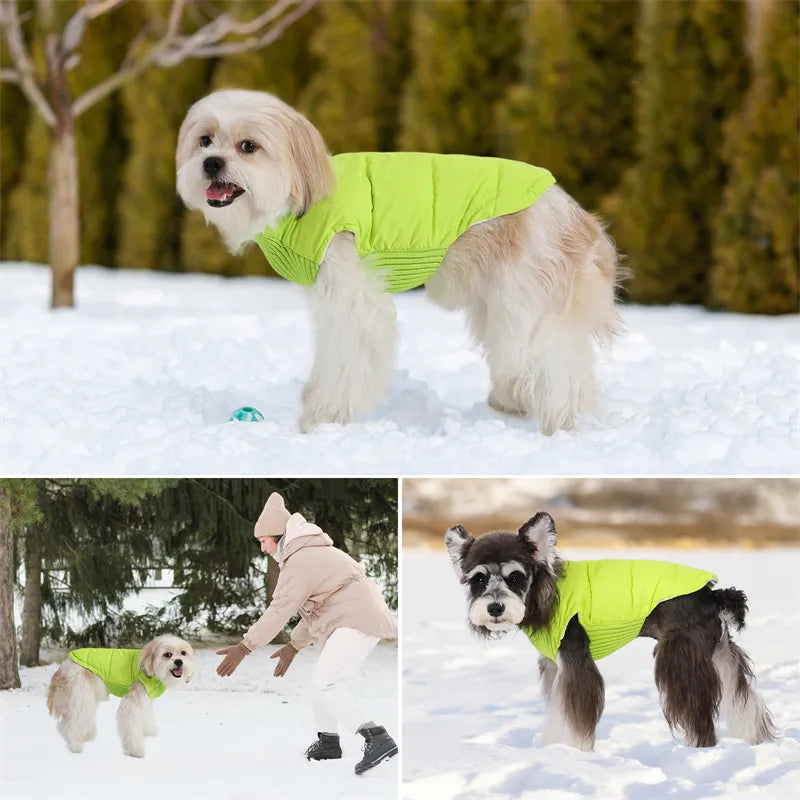 Winter Dog Clothes Warm Jacket Coat With Zipper Pet Vest knitted Leisure Clothing For Samll Dog Chihuahua French Bulldog Outfits Retail Second