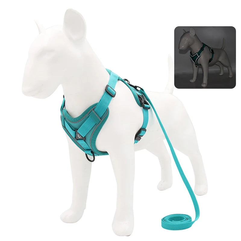 Reflective & Adjustable Wild One Dog Harness Set for All Sizes