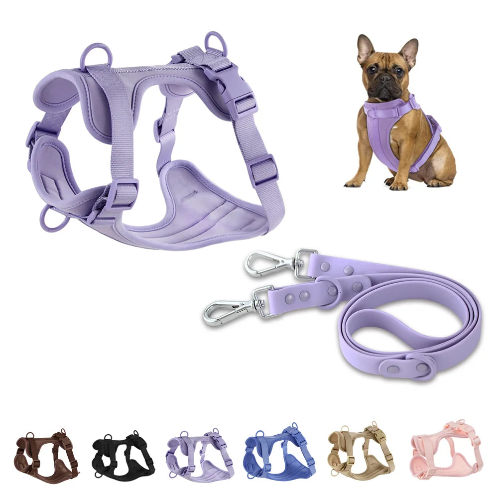 Adjustable Dog Leash & Harness Set - Secure Fit