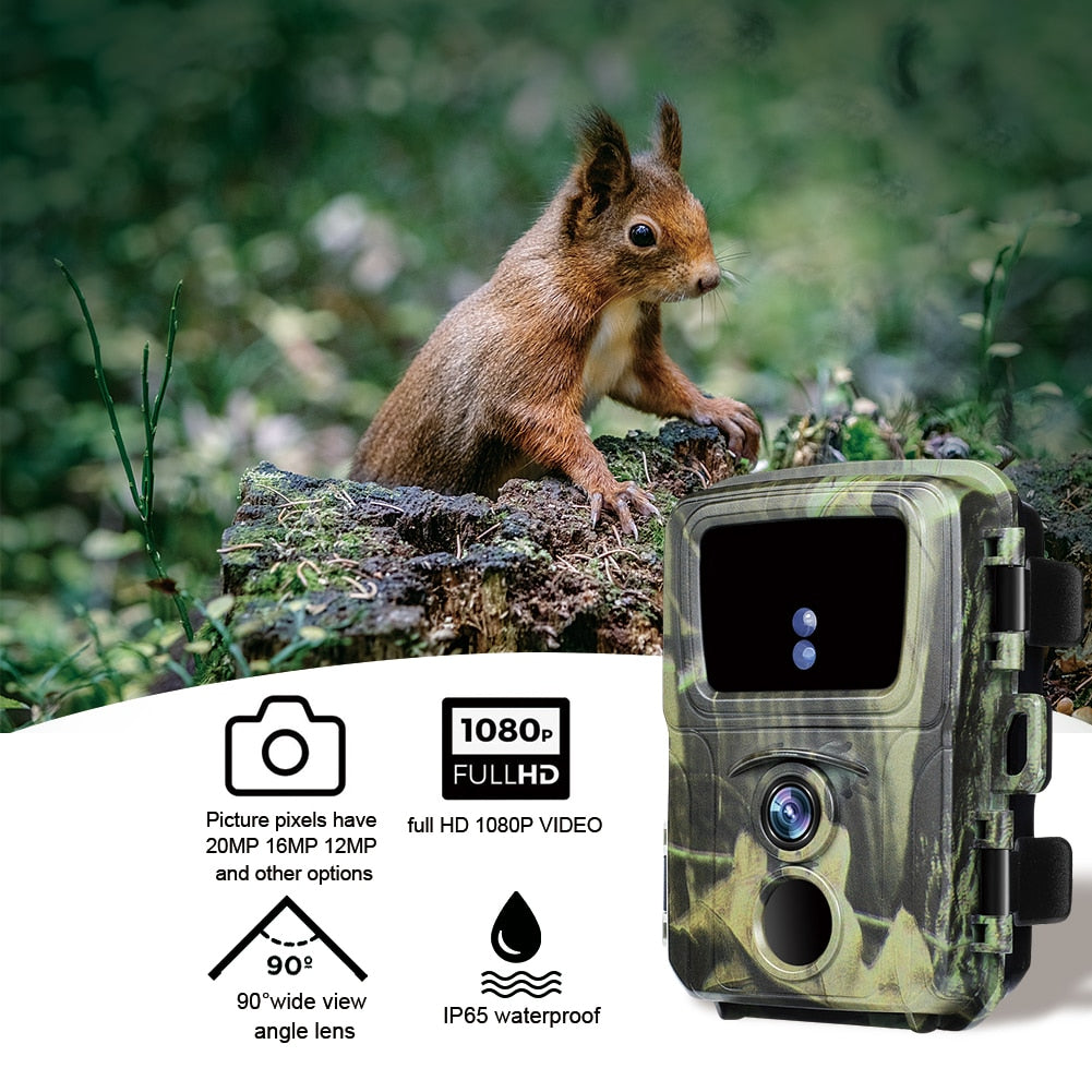 Wildlife Camera , Nighttime Wildlife Camera - Retail Second