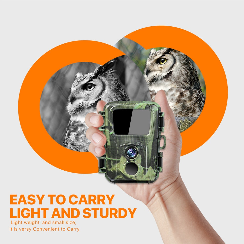 Wildlife Camera , Nighttime Wildlife Camera freeshipping - RETAILSECOND