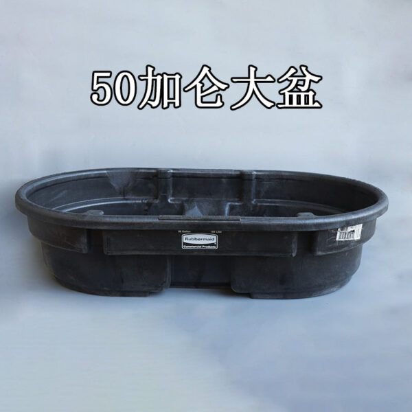 Rubbermaid Lebomei Breeding Large Basin | Versatile & Durable