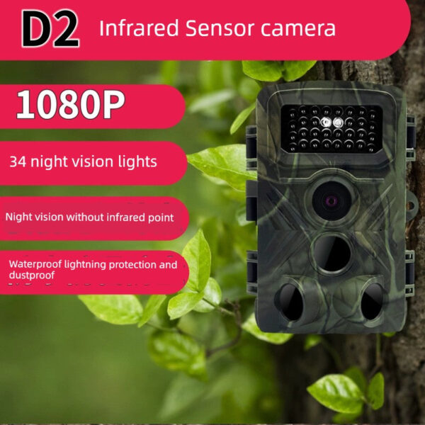 Cafe DL003 Security Camera | Home, Wildlife, Property Monitoring | Full HD | Night Vision